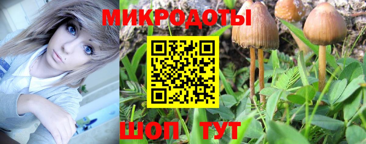 Галлюциногенные грибы ЛСД  Вход с VPN  Верхняя Пышма 