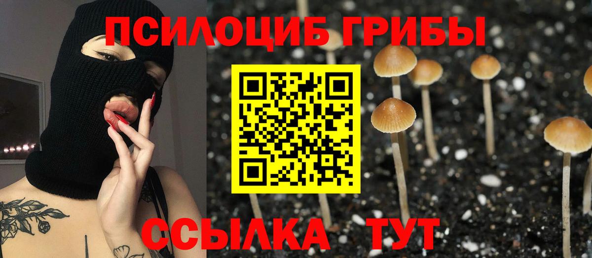Псилоцибиновые грибы MAGIC MUSHROOMS Верхняя Пышма