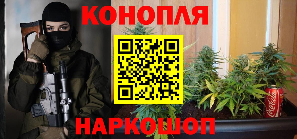 Верхняя Пышма  Конопля гибрид  Вход с VPN  Каннабис индика  Конопля план 